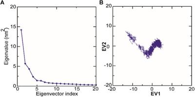 Kanamycin-Mediated Conformational Dynamics of Escherichia coli Outer Membrane Protein TolC